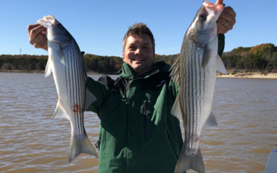 A Complete Guide to Striper Fishing Lake Texoma