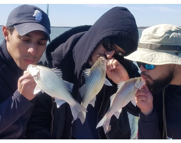 Utah lake: how to catch all the white bass in the lake!!! part 1