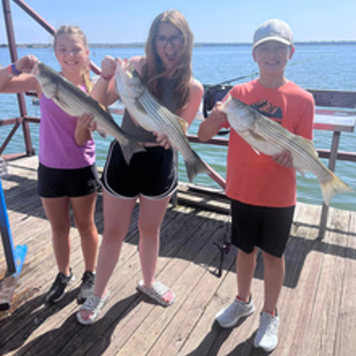 Aaron Sharp Lake Texoma Fishing Guides